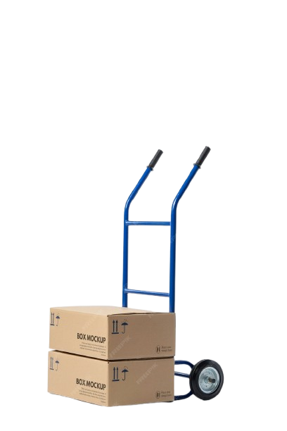 Why Choose Safe and Fast Packers and Movers?
